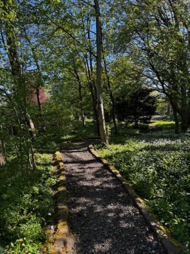 The Woodland