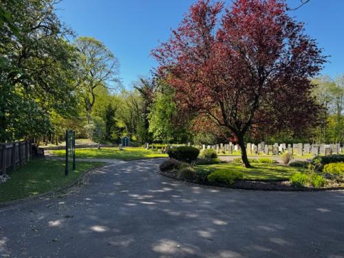 Charming, peaceful, secluded, and serene
